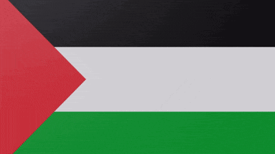 a flag with a red triangle in the middle
