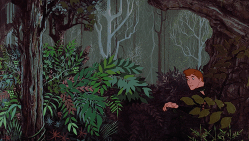 a man and a horse are standing in the woods