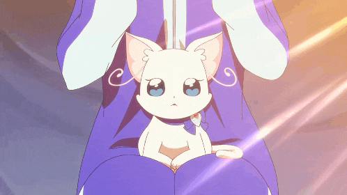 a white cat with blue eyes is being held by a person