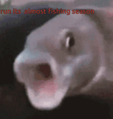 Screaming Fish GIF - Screaming Fish Panic GIFs