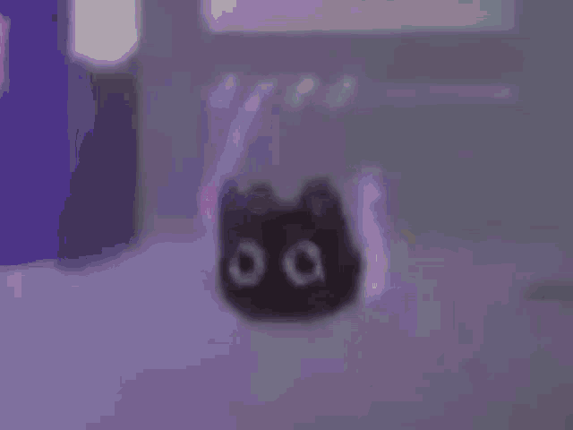 a black cat is sitting on the ground in front of a purple wall .