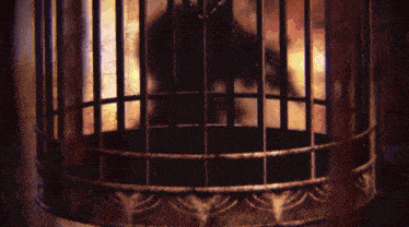 a person is standing in the water with a reflection of their face in the water .