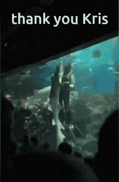 a shark tank with a thank you kris message