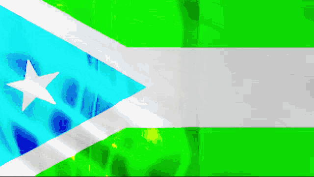 a blue white and green flag with a white star in the middle