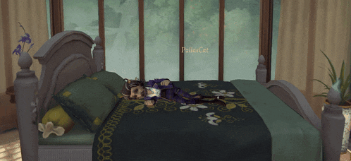 a cat is laying on a bed with the name polluxcat on the bottom