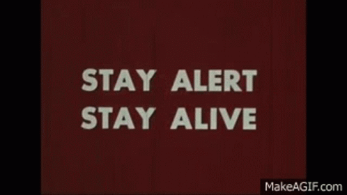 Stay Alert Stay Alive GIF - Stay Alert Stay Alive Stay Safe GIFs