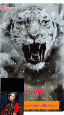 a picture of a tiger with the words fe rio on the bottom