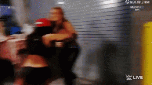 Nikki Bella Attacks GIF - Nikki Bella Attacks Natalya GIFs