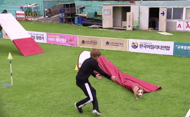 Taehyung Roll Around GIF - Taehyung Roll Around Dog GIFs
