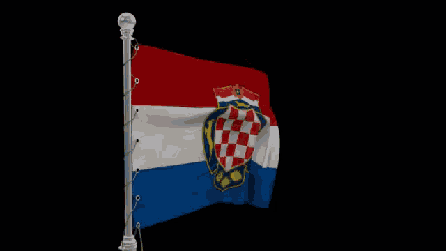 a flag with a coat of arms on it