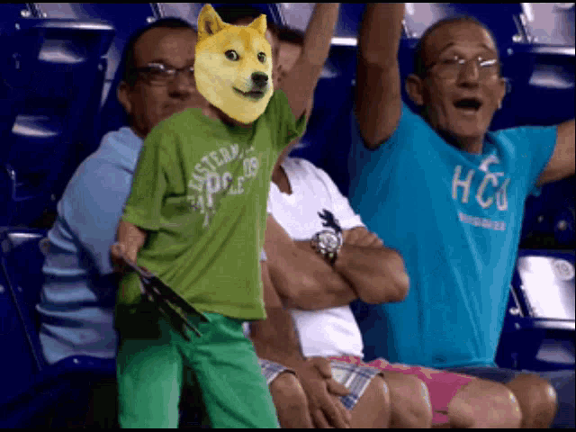 a boy in a green shirt with a doge face on his head