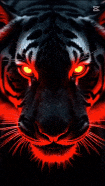 a close up of a tiger 's face with the letter m on the bottom