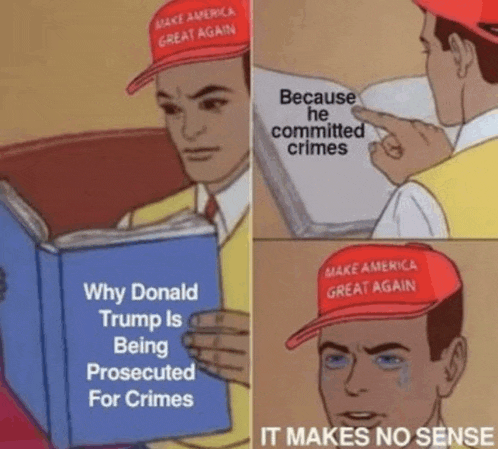 a man wearing a make america great again hat is reading a book about why donald trump is being prosecuted for crimes .