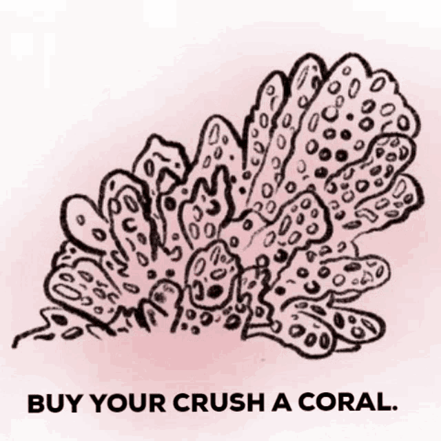 a drawing of a coral with the words " buy your crush a coral " below it