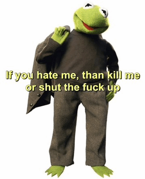 Kermit The Frog Kermit The Frog Meme GIF - Kermit The Frog Kermit The Frog Meme If You Hate Me GIFs