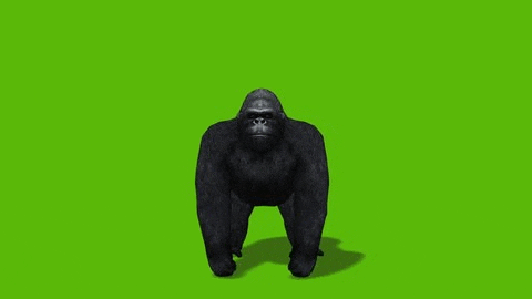 a black gorilla is standing on a green screen .