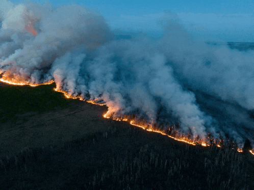 an aerial view of a fire burning in the woods