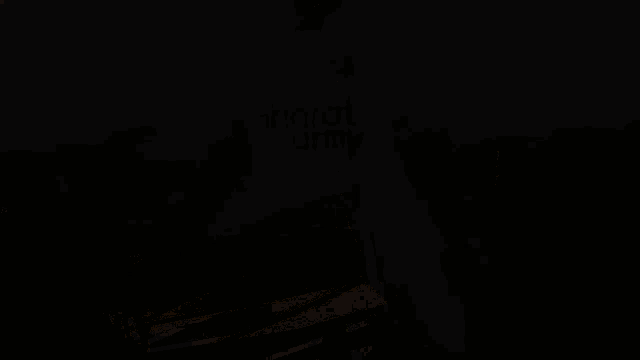 a person wearing a shirt that says bharat army on it
