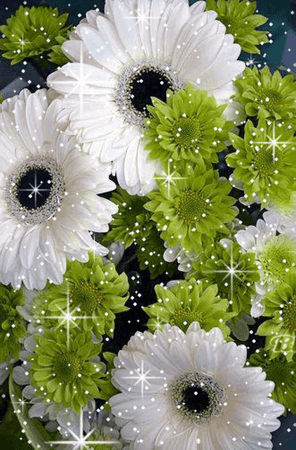 a bunch of white flowers and green flowers are surrounded by sparkles .
