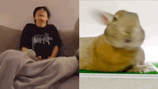 a man is sitting on a couch next to a rabbit laying on a table .