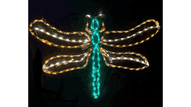 a dragonfly is lit up in the dark