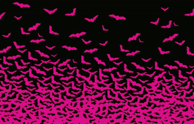 a flock of bats flying in the night sky