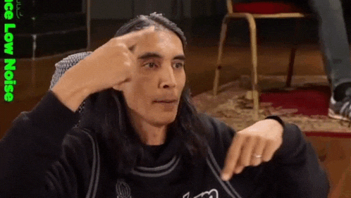 a man with long hair is making a funny face with the words low noise visible behind him