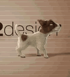 a small brown and white dog is standing in front of a sign that says desire