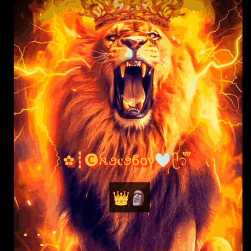 a picture of a lion with a crown on it