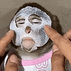 a person is holding a monkey with a face mask on its face .