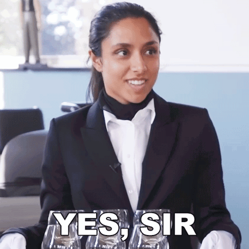 Yes Sir Michelle Khare GIF - Yes Sir Michelle Khare Agree Sir GIFs