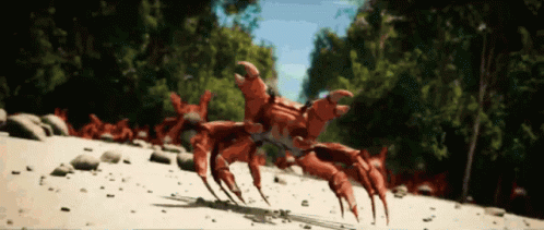 crab-rave-animation.gif