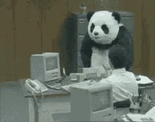 Lol Office Panda GIF - Lol Office Panda Angry Panda GIFs