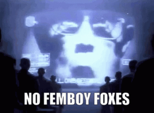 Femboy Foxes No Femboy Foxes GIF - Femboy Foxes Femboy Fox No Femboy Foxes GIFs