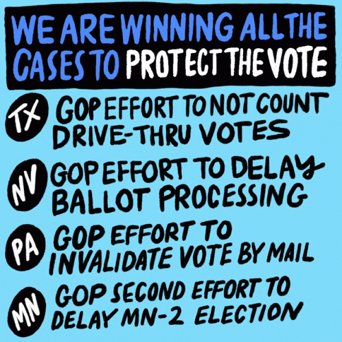 We Are Winning All The Cases Protect The Vote GIF - We Are Winning All The Cases Protect The Vote Tx GIFs