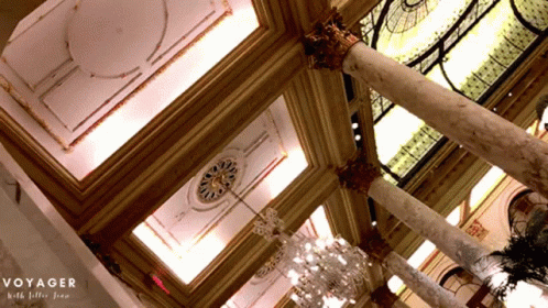 Lillee Jean Voyager GIF - Lillee Jean Voyager The Plaza Hotel GIFs