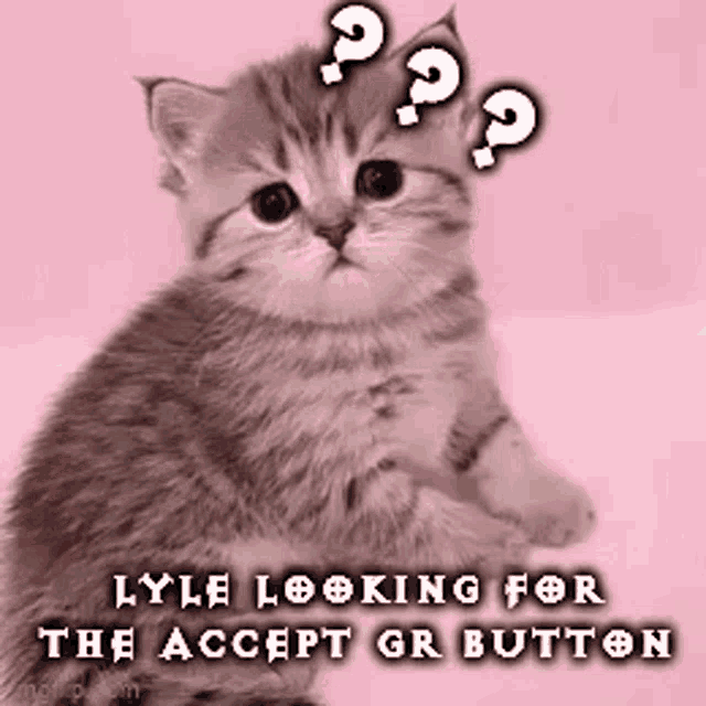 a kitten is sitting on a pink background with a question mark above its head .