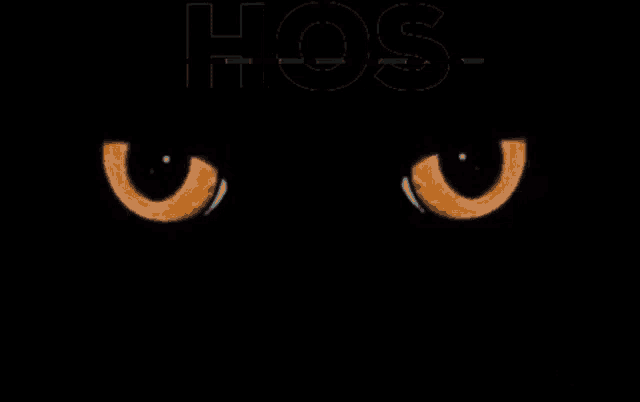 a spider is standing in front of a black background with the word hog