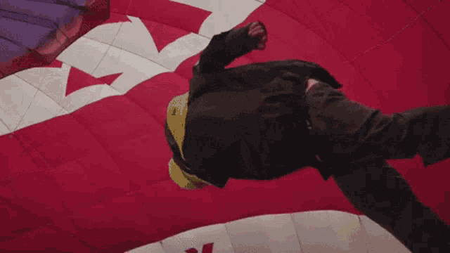 a person holding a purple umbrella in front of a hot air balloon with a canadian flag on it