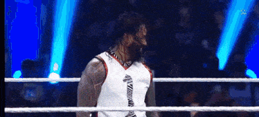 a wrestler is standing in the middle of a wrestling ring with his hair blowing in the wind .