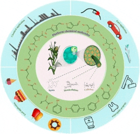 a diagram of chemical molecules and a plant