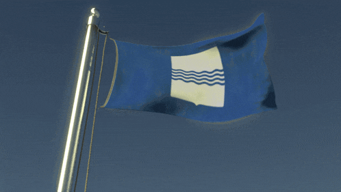 a blue and white flag with waves on it is flying in the wind