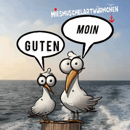 two seagulls standing on a dock with speech bubbles that say guten and moin