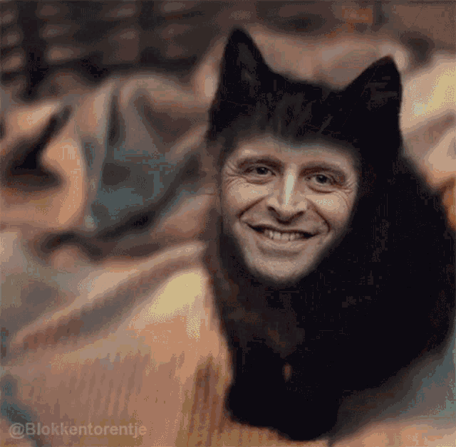 a black cat with a man 's face on its face