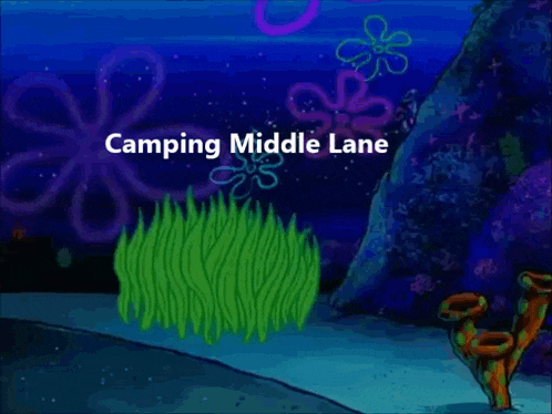 spongebob and patrick are hiding in the grass with the words camping middle lane written above them