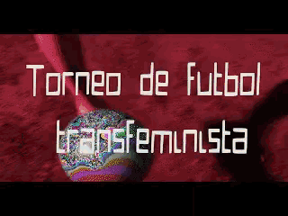 a pixelated image of a soccer ball and the words torneo de futbol transfeminisma