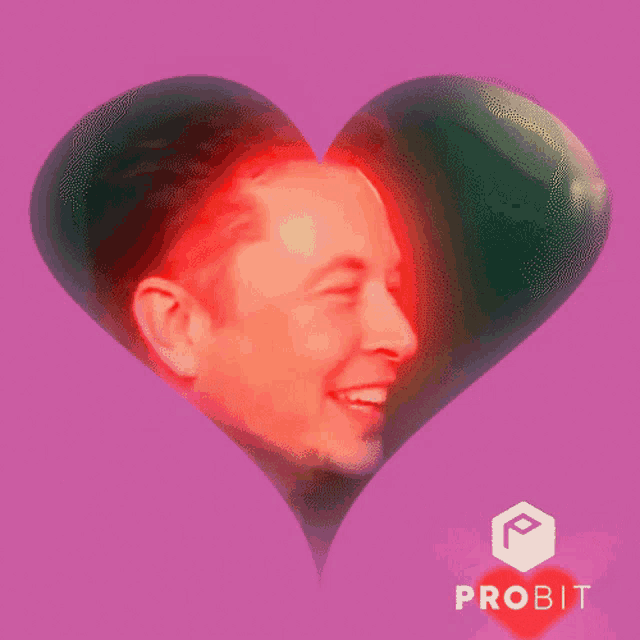 Elon Musk Doge GIF - Elon Musk Doge Dogecoin GIFs
