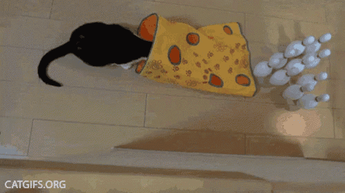 a cat is playing with bowling pins and a cat gifs.org logo