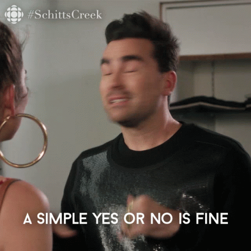 A Simple Yes Or No Is Fine David Rose GIF - A Simple Yes Or No Is Fine David Rose David GIFs