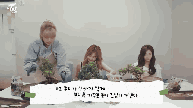 a group of girls are working on a bonsai tree with a sign that says # 2